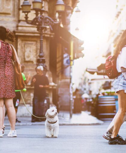 631f6f84b1663166300454879